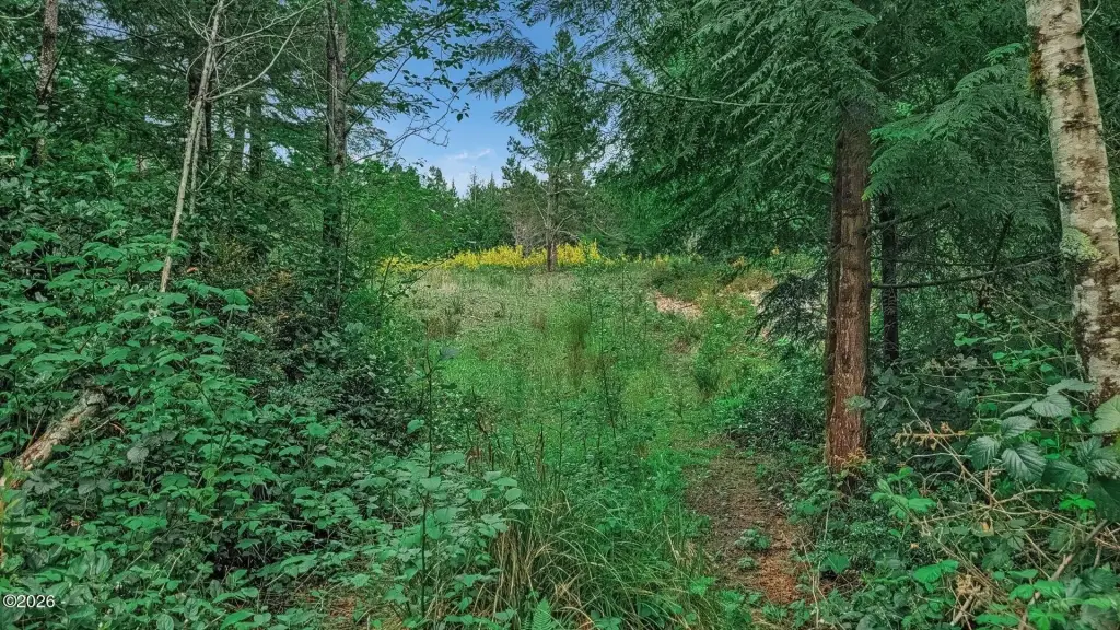 Picture 14