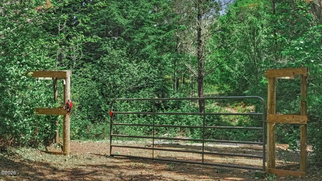 Picture 4