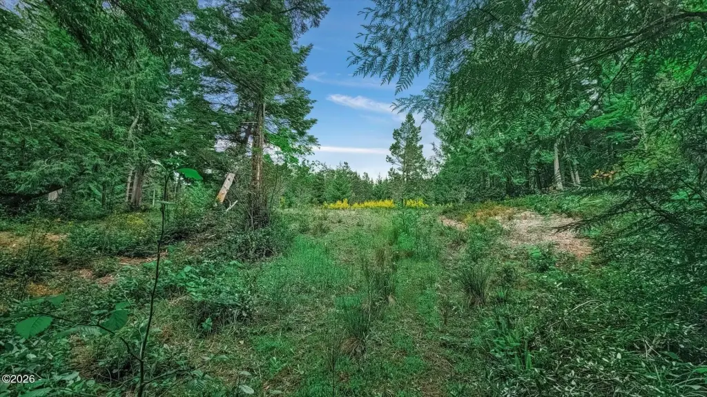 Picture 18