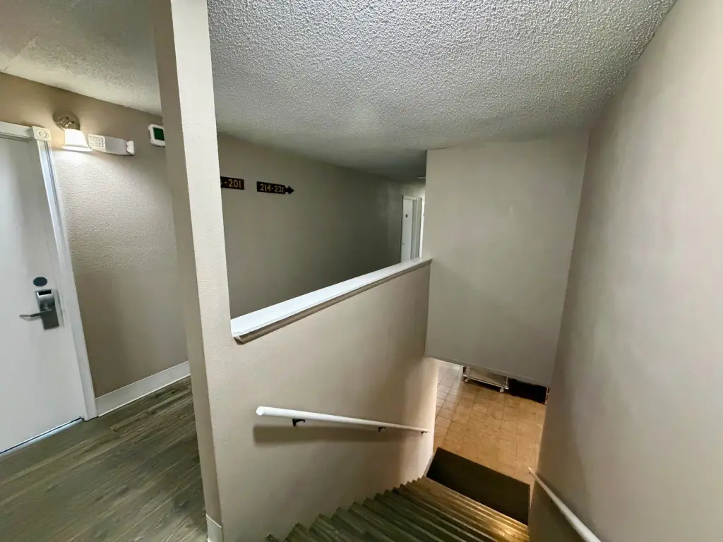 Picture 19