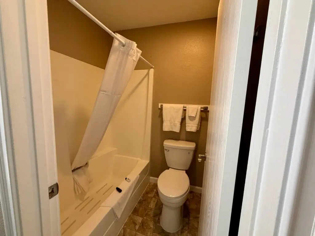 Picture 17