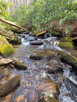 Unrestricted Creekfront Land in Robbinsville