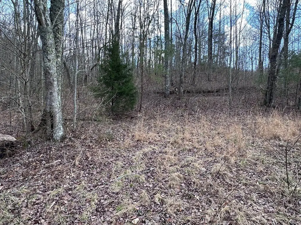 Picture 27