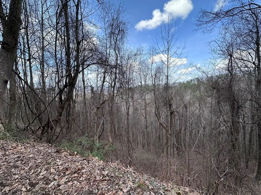 Picture 41