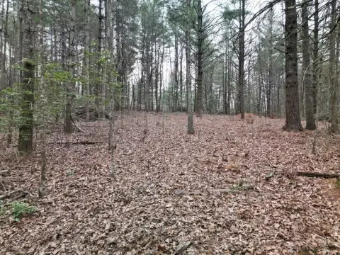 Land Near Recreational Hotspots