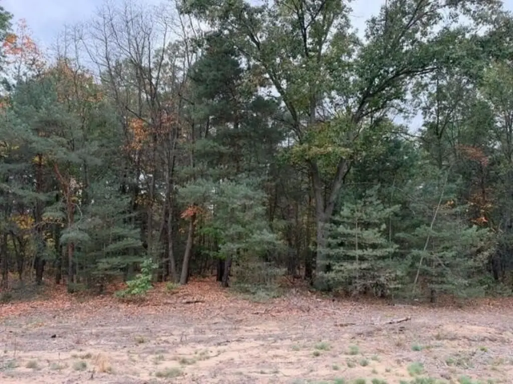 Picture 3