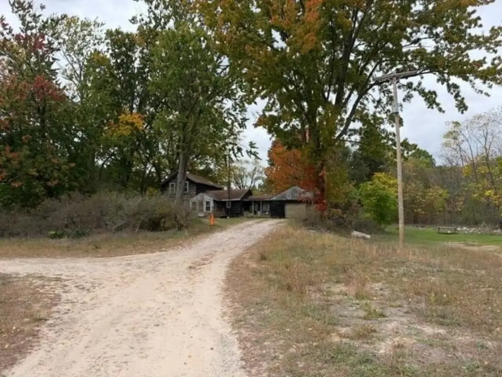 Picture 6
