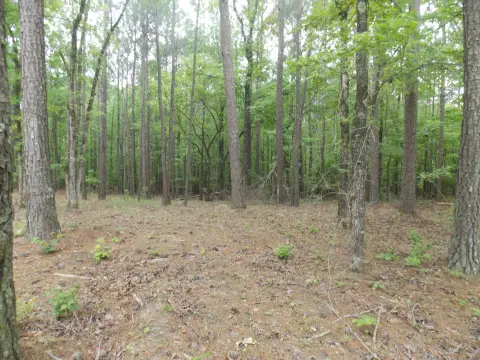 Land with Lake Access