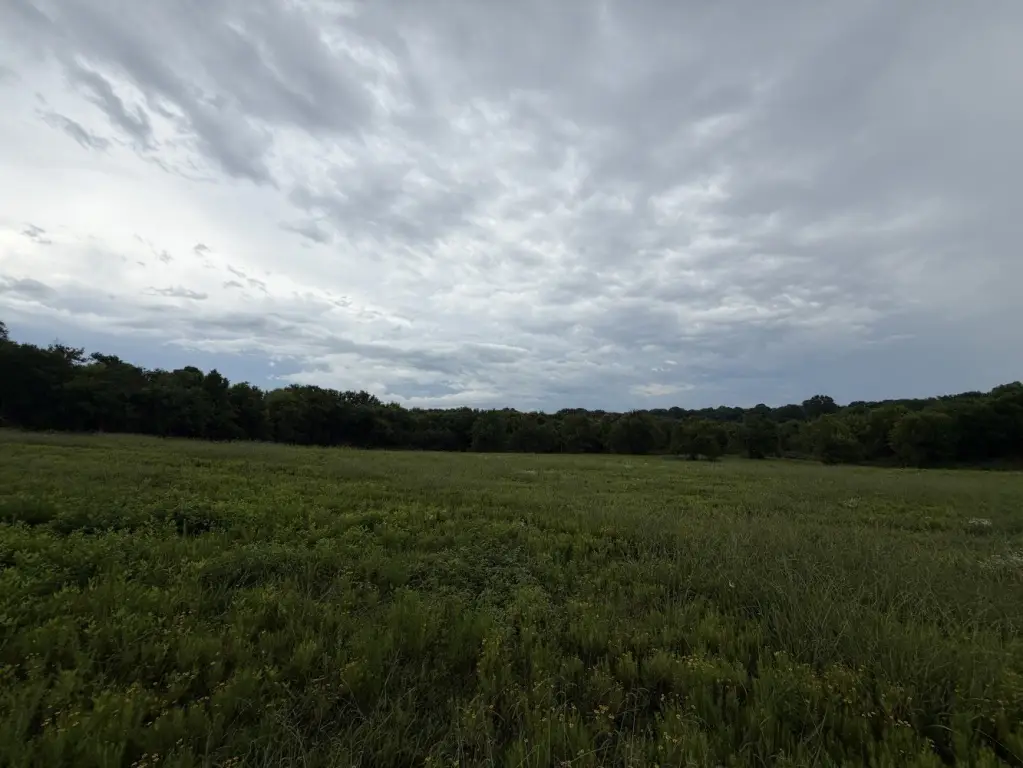 Picture 12