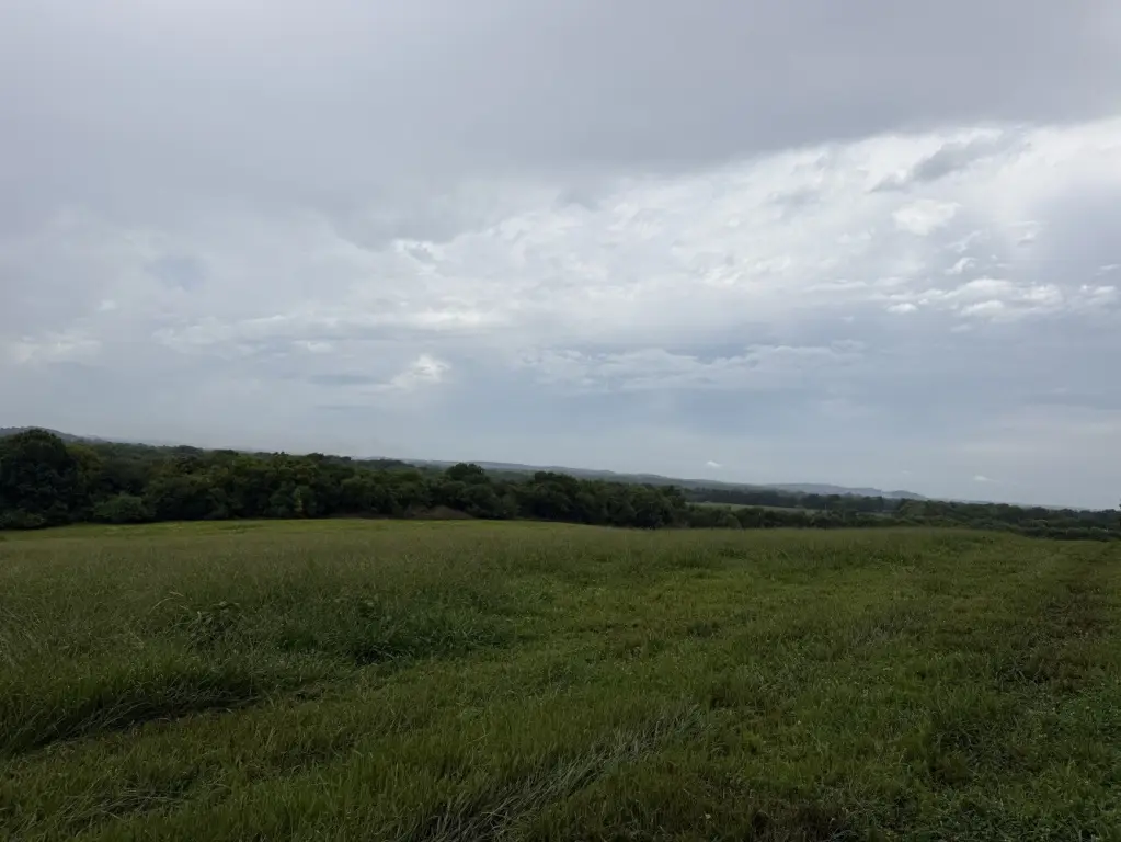 Picture 29