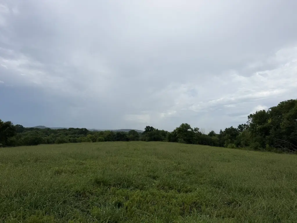 Picture 22