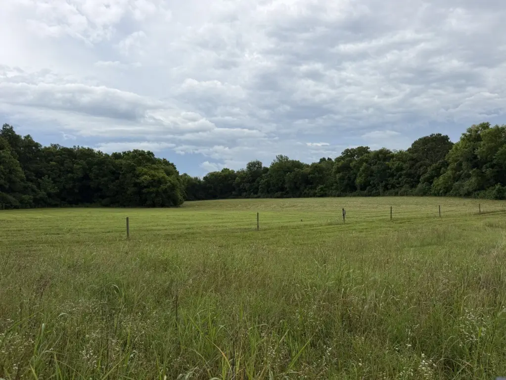 Picture 21