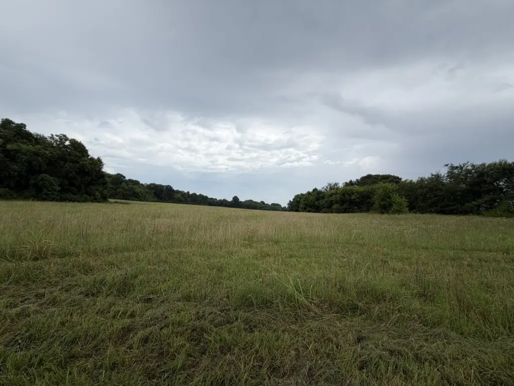 Picture 20