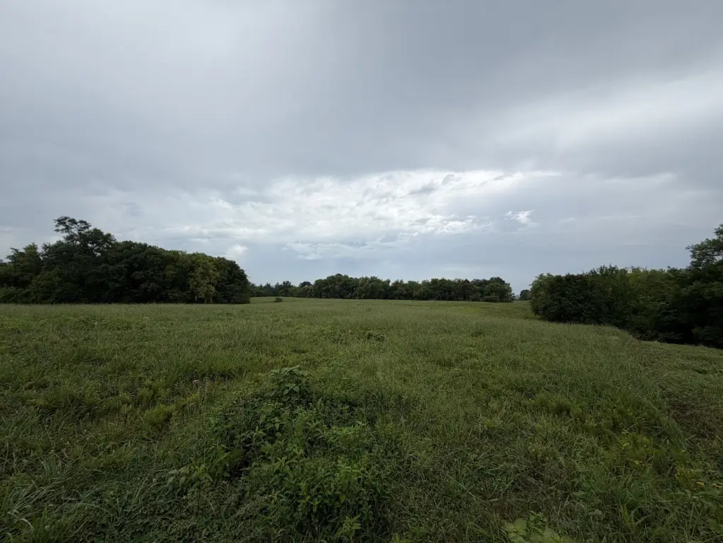 Picture 23