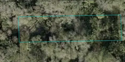 Residential Land in Bunnell, Florida