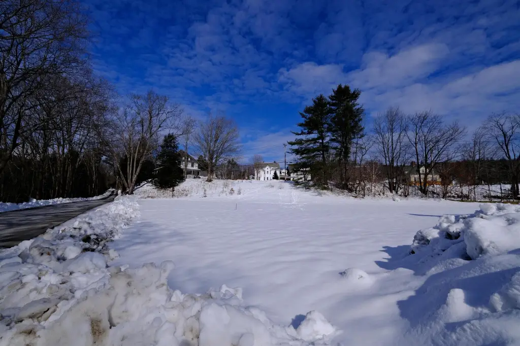 Picture 16