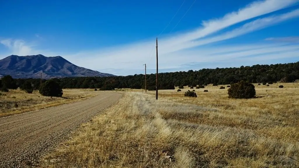 Picture 11