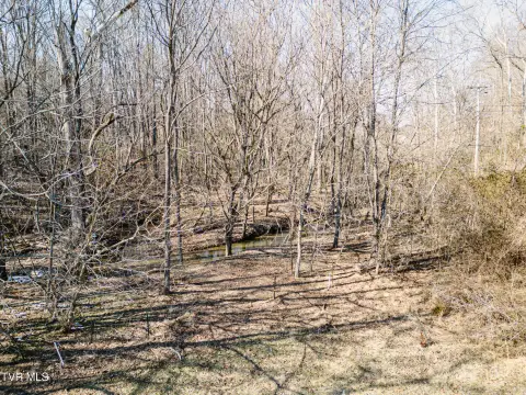 Jonesborough Wooded Land with Creek