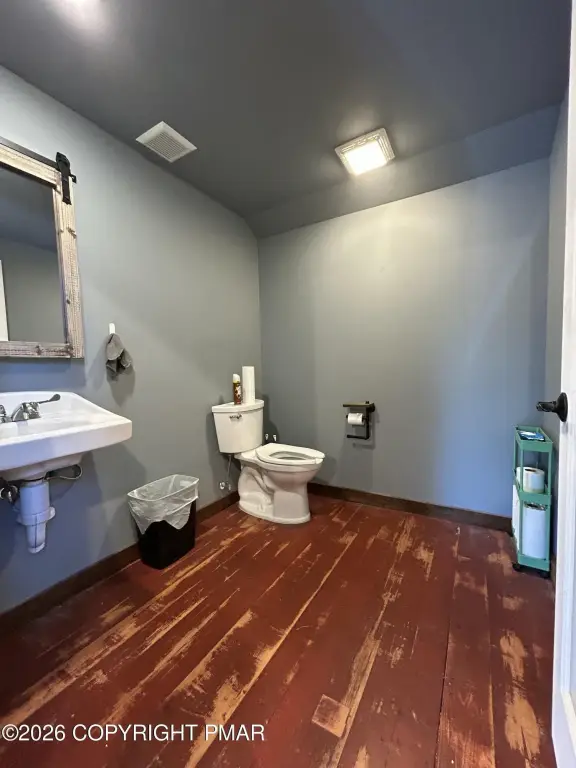 Picture 23