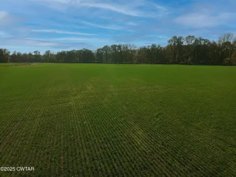 Mercer, TN Land For Sale