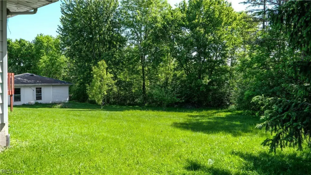 Picture 21