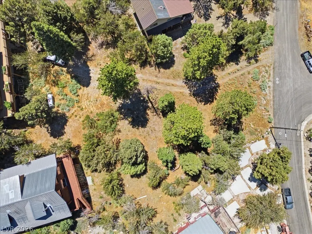 Picture 13