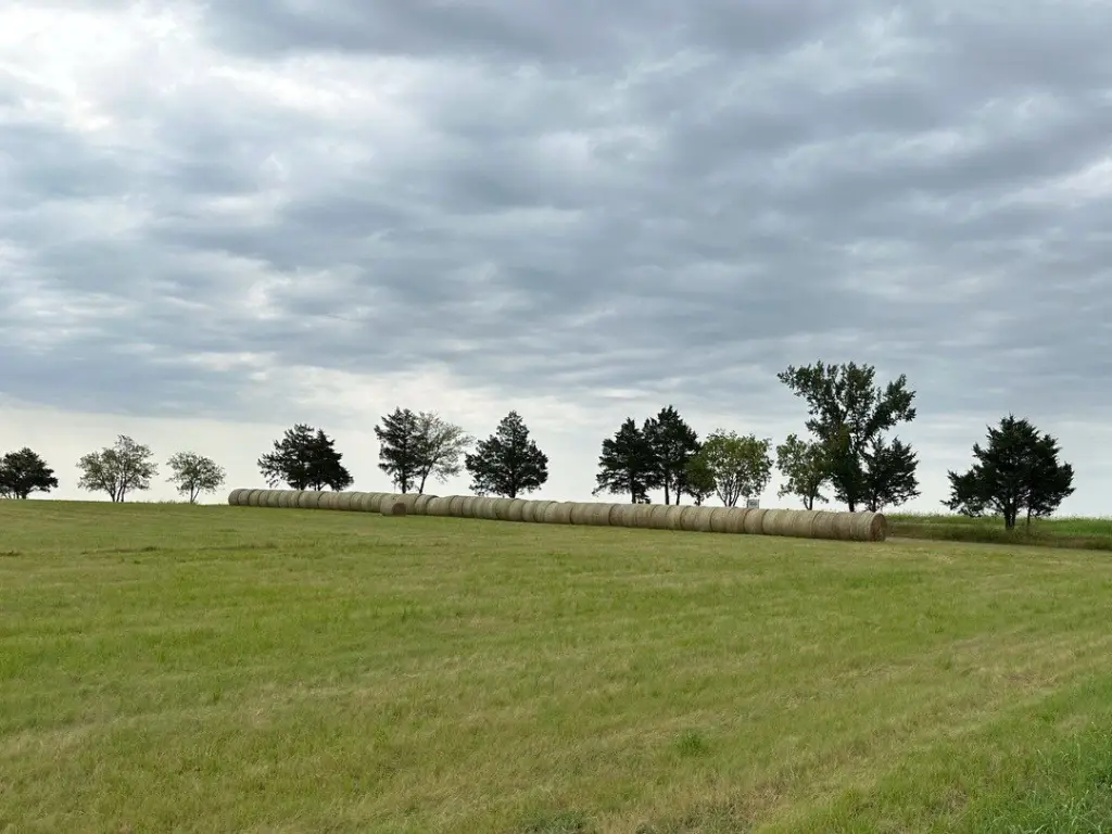 Picture 6