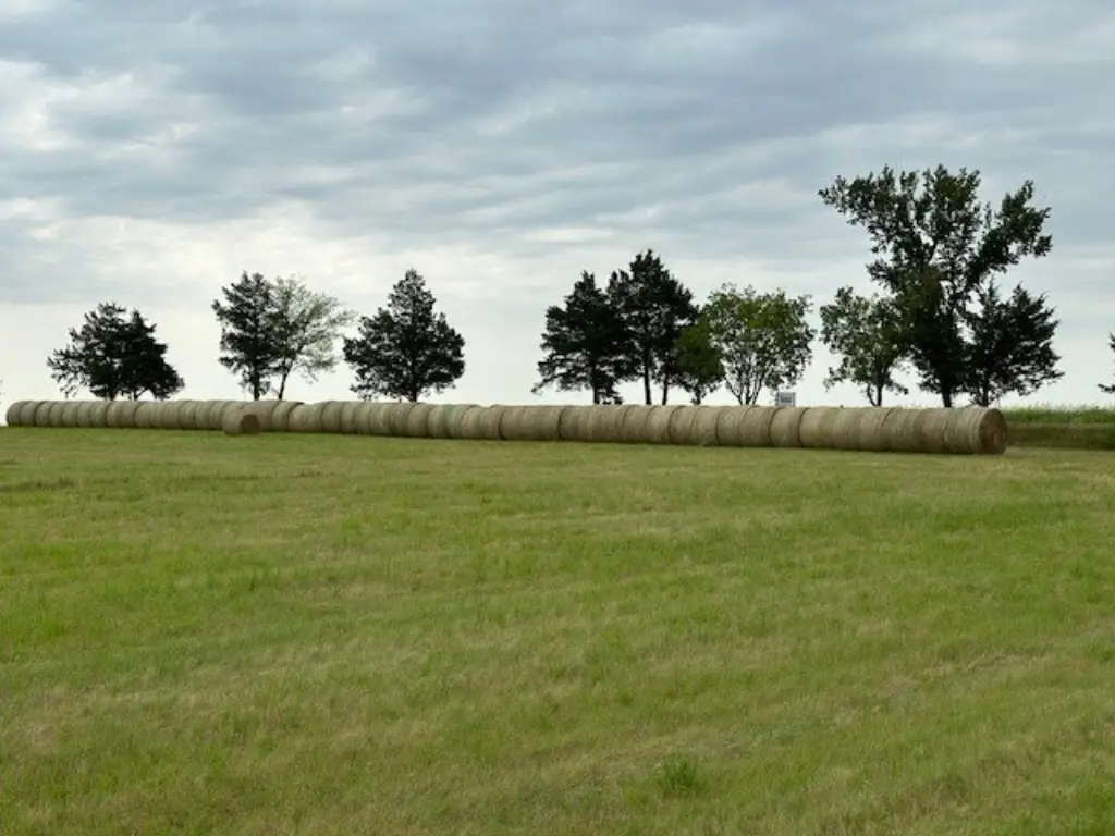 Picture 7