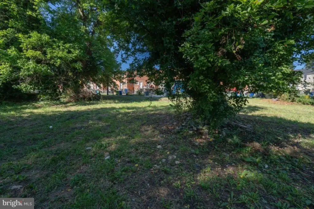 Picture 16
