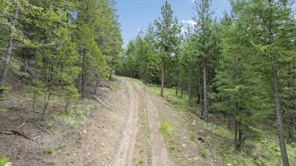 Picture 13