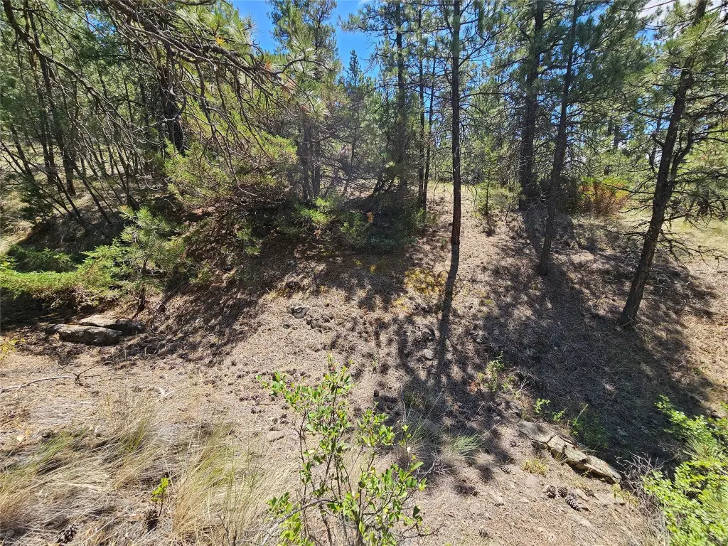 Picture 23