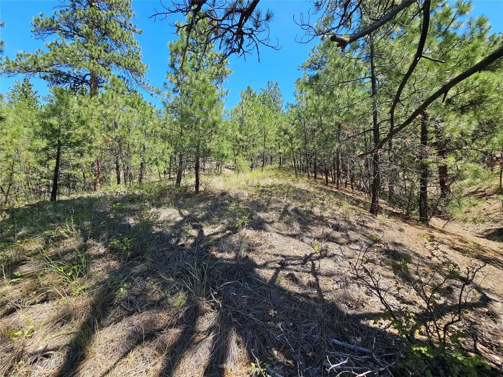 Picture 25