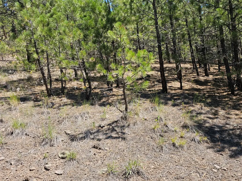 Picture 8