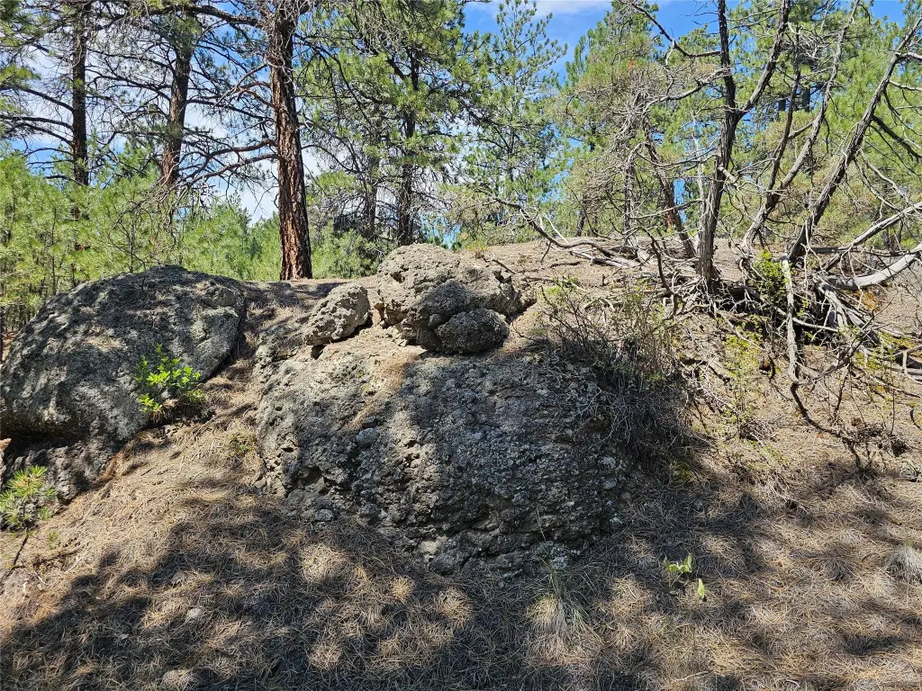 Picture 26