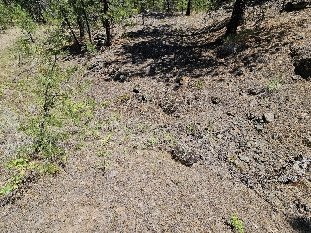 Picture 21