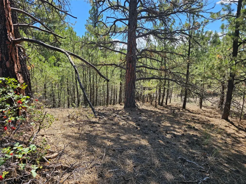 Picture 27