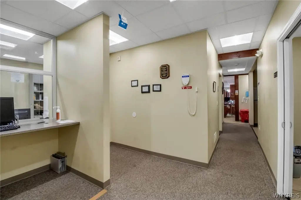 Picture 17