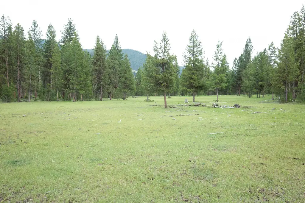 Picture 10