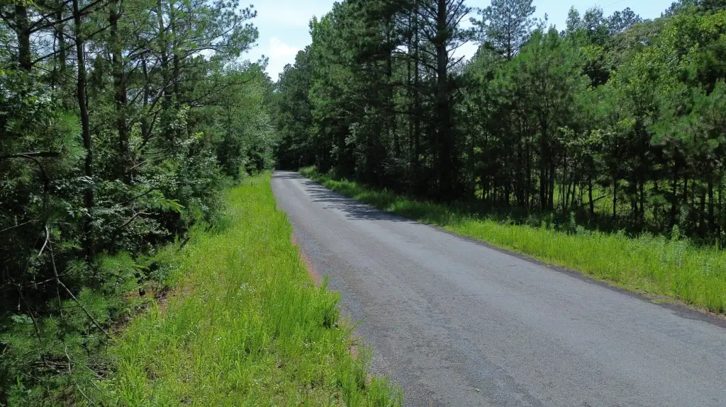 Picture 20