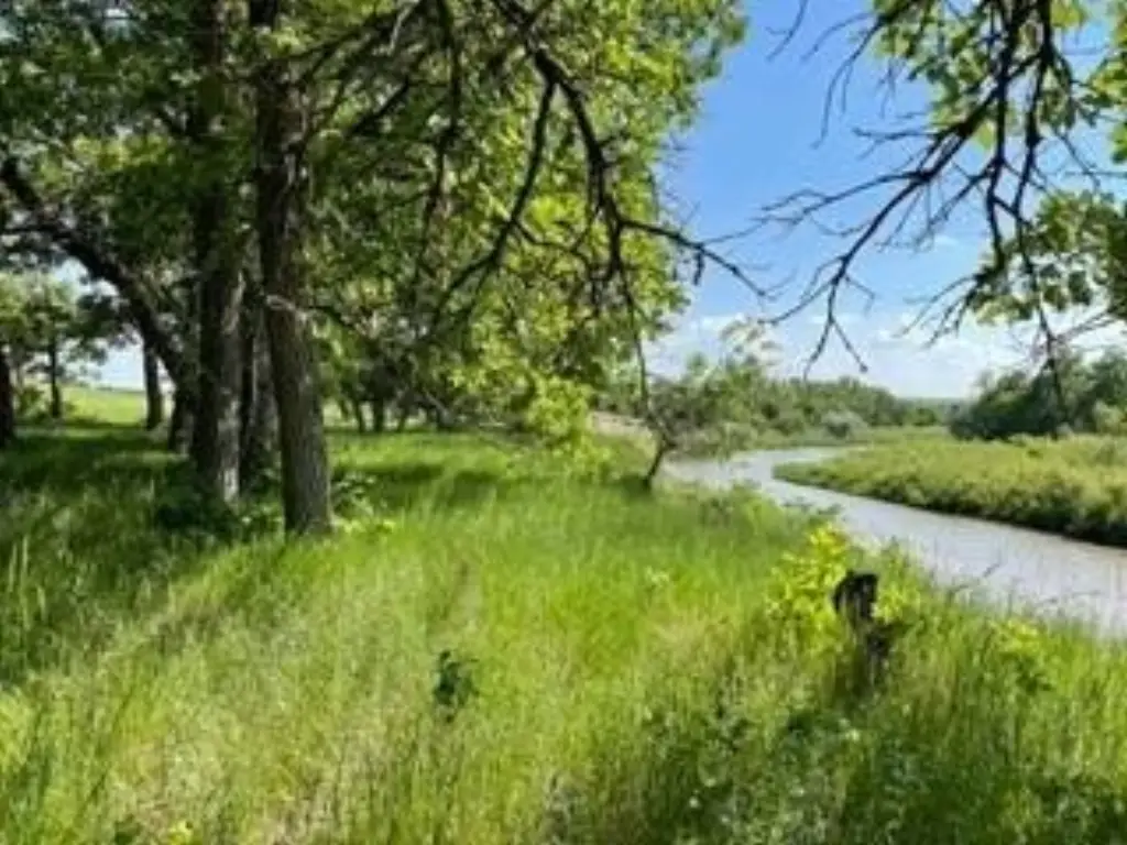 Picture 13