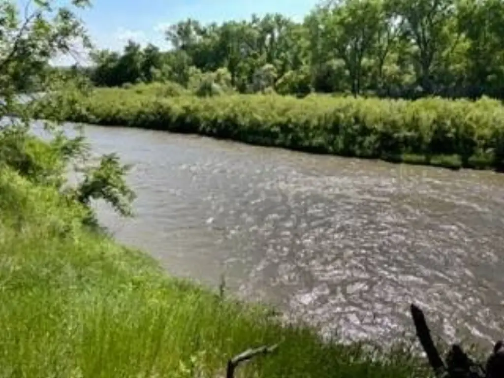 Picture 12