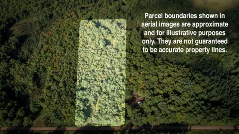 Wooded Land Parcel