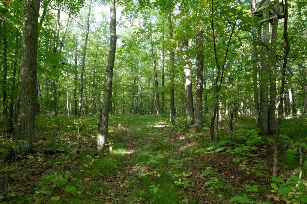 Picture 14