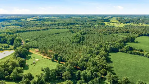 Timberland Parcel with Access