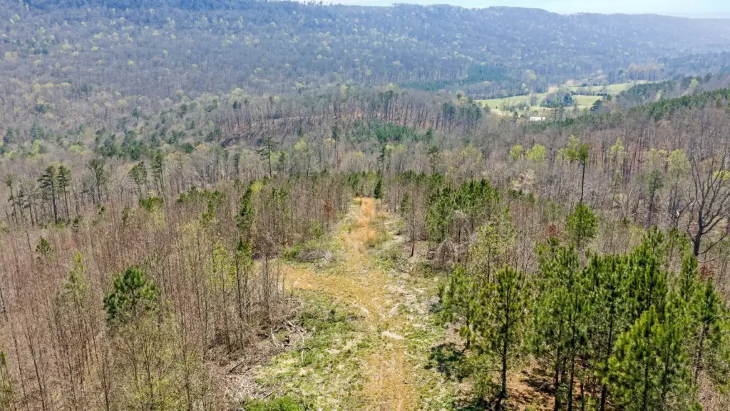 Picture 19