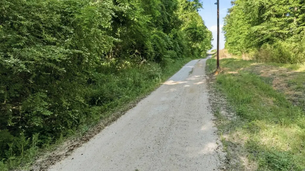 Picture 17