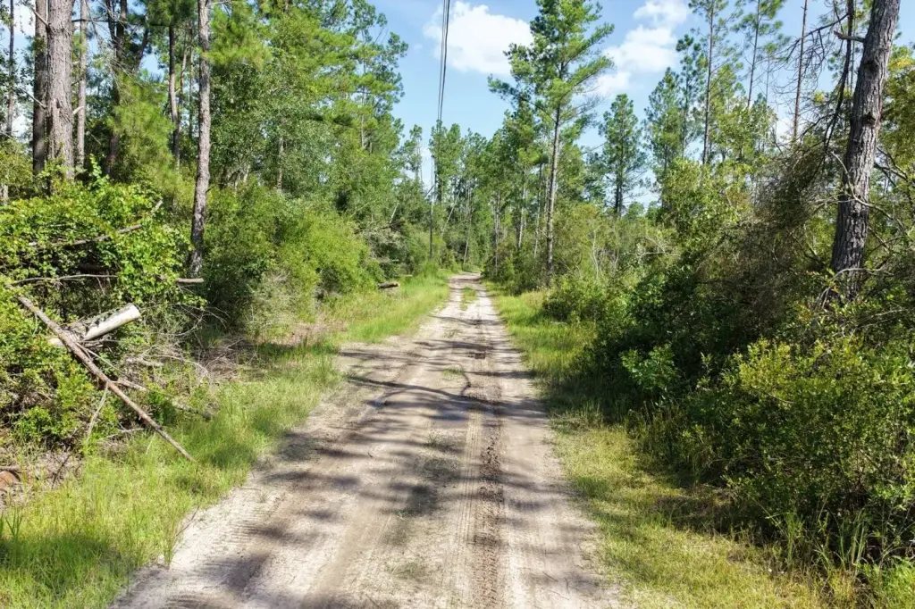 Picture 6