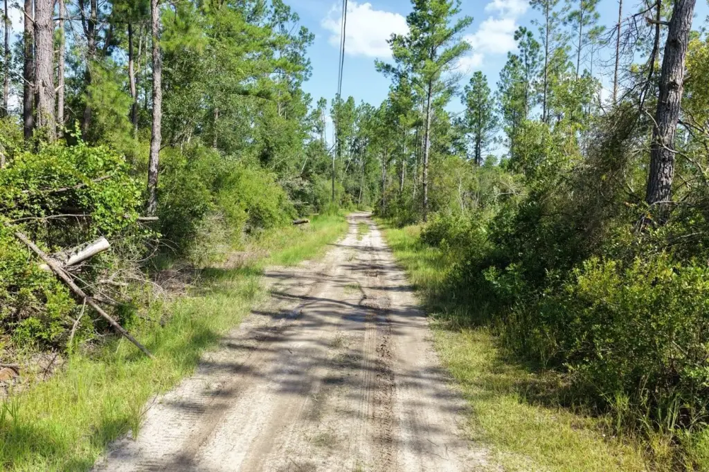 Picture 7