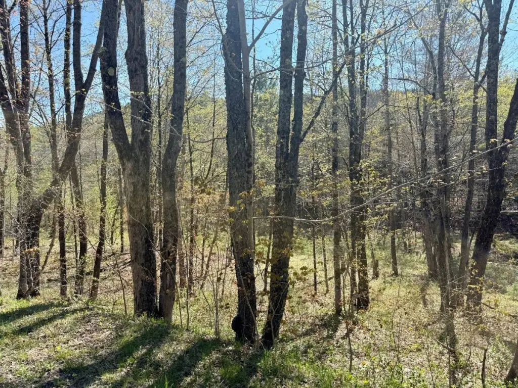 Picture 2