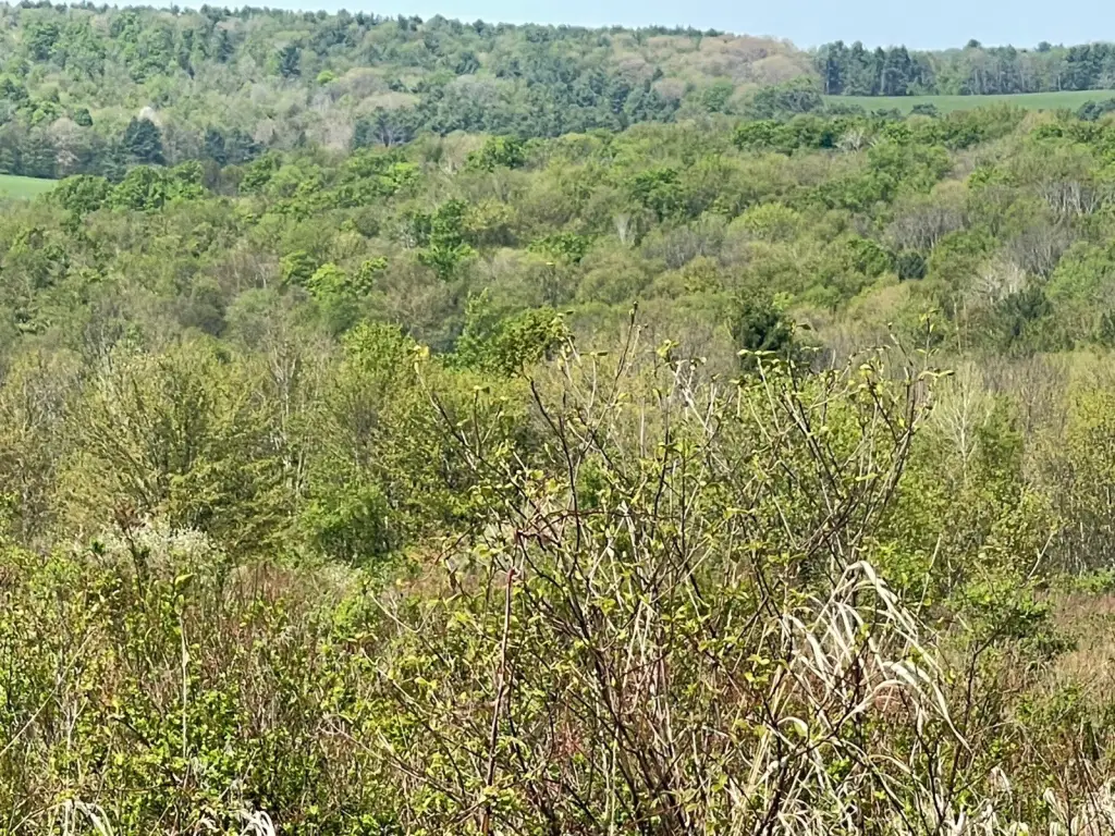 Picture 4